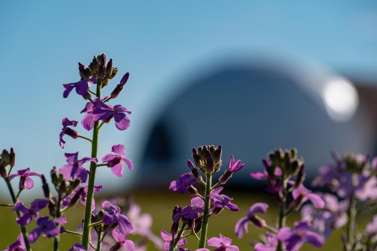 Garden Domes Villa ปวยร์โตนาตาเลส ภายนอก รูปภาพ