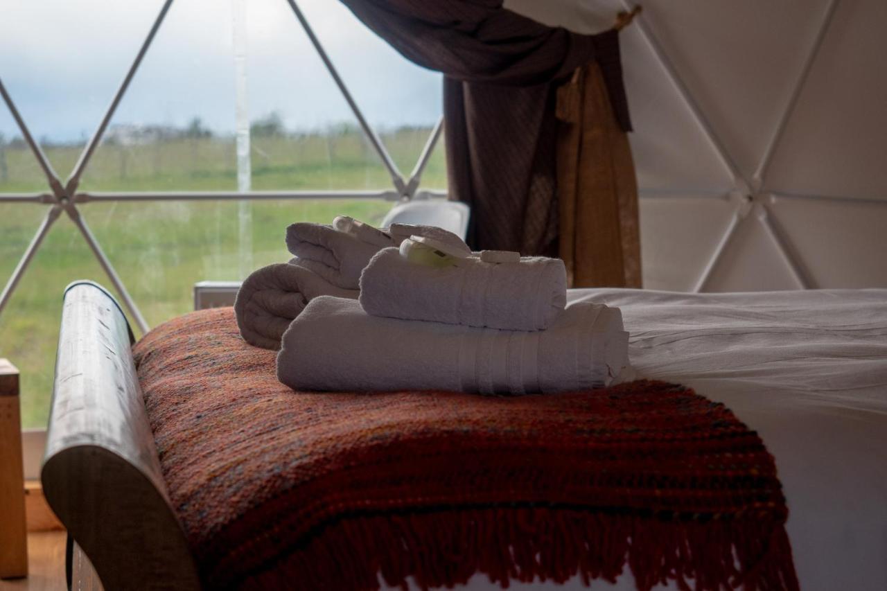 Garden Domes Villa ปวยร์โตนาตาเลส ภายนอก รูปภาพ