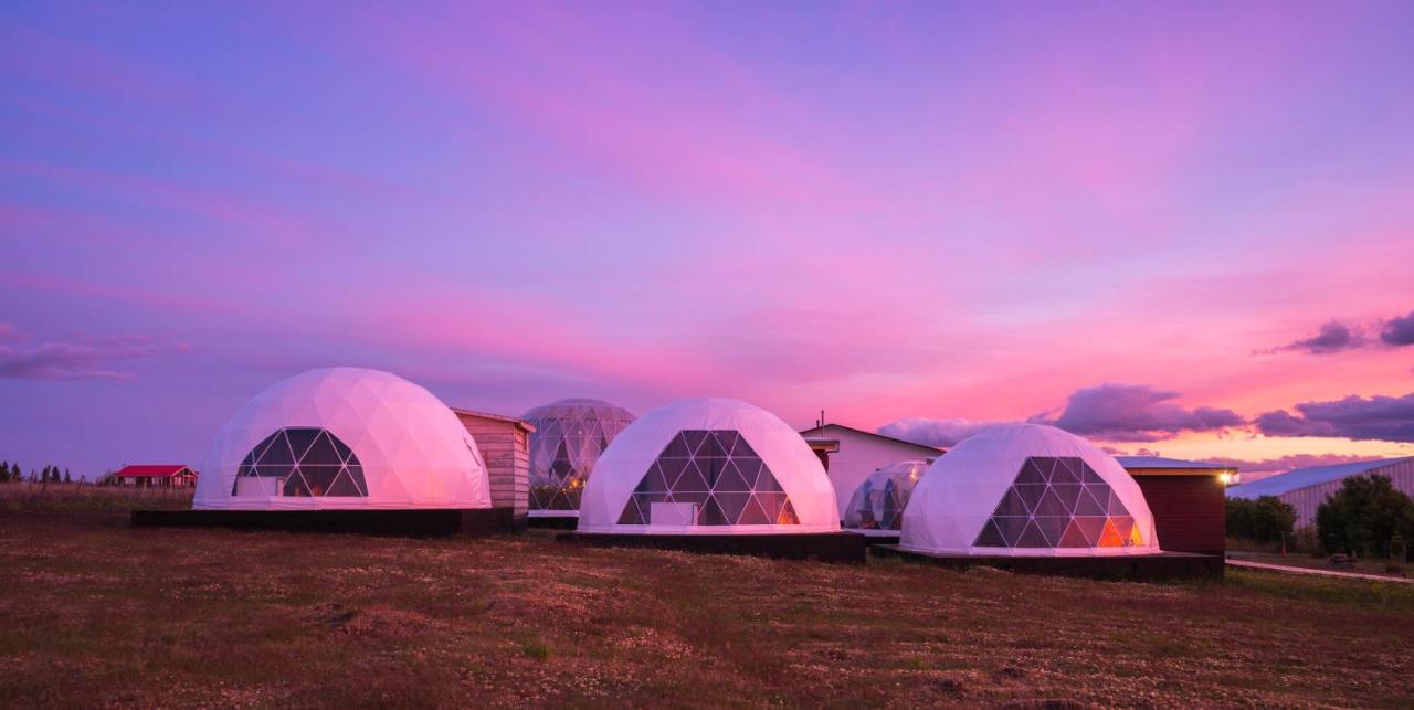 Garden Domes Villa ปวยร์โตนาตาเลส ภายนอก รูปภาพ