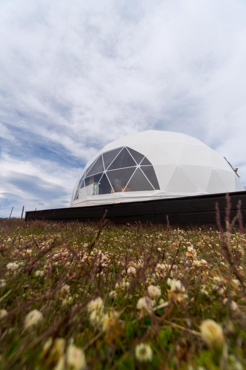 Garden Domes Villa ปวยร์โตนาตาเลส ภายนอก รูปภาพ